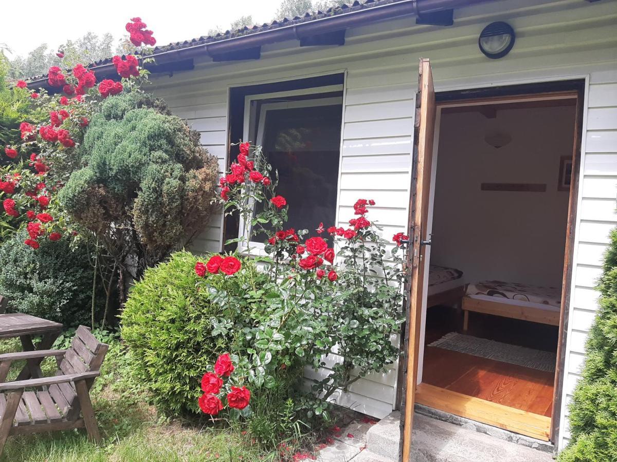 Agroturystyka Gaga Ustka Dış mekan fotoğraf